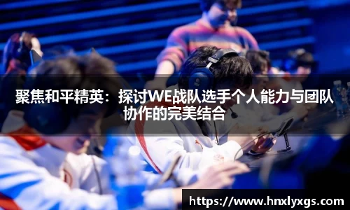 3377体育官网下载